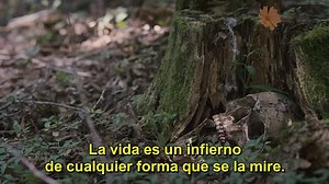 Killers.2014.720p.bluray.subesp