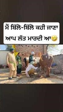 ਮੈਂ ਬਿੱਲੋ-ਬਿੱਲੋ ਕਹੀ ਜਾਣਾ ਆਪ ਲੱਤ ਮਾਰਦੀ ਆ🤣#funny #comedyfilms #comedyforever #comedymovies #punjabi