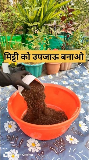 How to make leaf compost#gardening