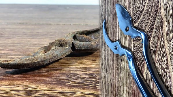 A Rusty Gardening Tool is Revived to Its Former Grace