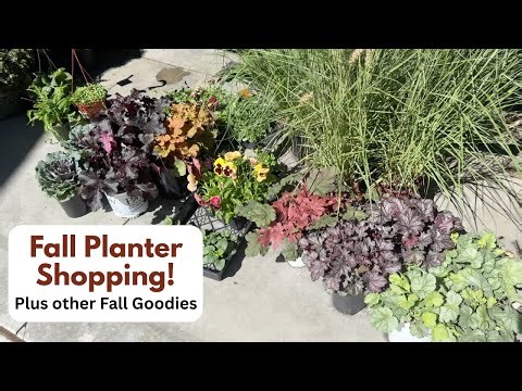 Fall Planter Shopping! Plus Other Fall Goodies!