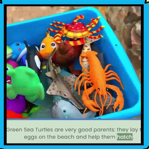 Sea Turtle & Penguin Fun Facts! 🐢🐧 They Are Good Parents!