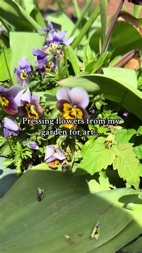 amywilsonartofficial on TikTok