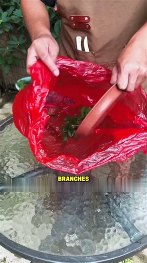 easy mathod #gardaning