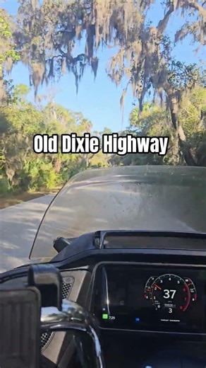 THE FAMOUS OLD DIXIE HIGHWAY IN FLORIDA | 2024 ROAD GLIDE WIND THERAPY #shorts #motorcycle #bikelife