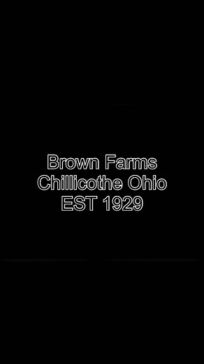 4.3K views · 151 reactions | Take a look at Brown Farms, where we're diving into today's corn harvesting plan, exploring the farm's rich history, and even checking out the importance of truck maintenance. A day in the life! #Farming #Harvest #CornHarvest #FarmLife #TruckMaintenance | Brian's Farming Videos | Facebook