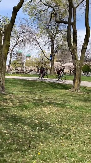 Marilyn Bell Park is a picturesque area along Toronto's waterfront - 📹 @torontolk | blogTO
