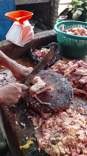 Chicken Cutting Skills: Understanding Chicken Anatomy