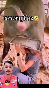 Has ha 😂 #reelsfb #video #Vlogs #games #reactions #movies #funny #Mmo2024 #reviews | Savet Eal