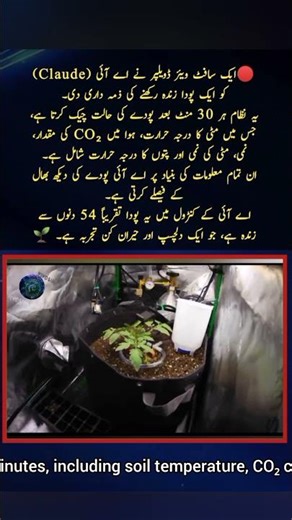 🔴 AI Keeps a Plant Alive for 54 Days | Smart Plant Care by Artificial