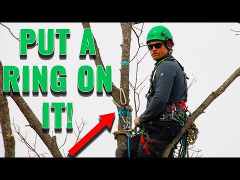 Tree Climbing Anchor: Friction Saver