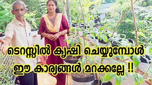 30K views · 274 reactions | ടെറസ്സിൽ കൃഷി ചെയ്യുമ്പോൾ ഈ കാര്യങ്ങൾ ശ്രദ്ധിക്കുക Terrace Farming Tips Farming Methods of Agriculture | Tips For Happy Life By Annie | Facebook