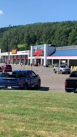 Quaking aspen (Populus tremuloides) and big tooth aspen (Populus grandidentata) . #tree #trees #nature #naturephotography #naturelover #garden #gardening #gardeninglife #learn #education #horticulture #horticulturist #botany #foraging #dendrology #plantlover #plantlove #plantlovers #biology #wood #woodworking #greenwoodworking #greenwood #carpentry #carpenter #treework #woodworker #woodwork #arborist #arboriculture #botany #botanical #plants #plantsoftiktok #planttiktok #plantlover