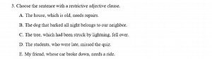 3. Choose the sentence with a restrictive adjective clause.A. ... | Filo