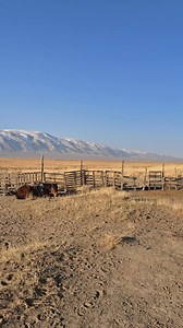 48K views · 689 reactions | #WesternMongoliawintertour...