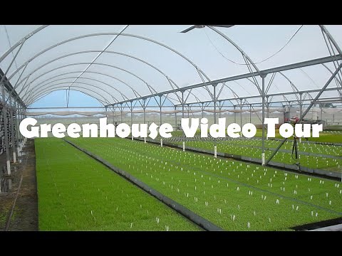 Redpath Greenhouse Video Tour