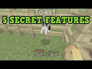 Minecraft Xbox 360 / PS3 - 5 TU31 SECRET Features