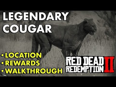 Red Dead Redemption 2 - Legendary Cougar (Location, Rewards, Walkthrough)