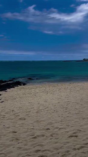 Lunch by the beach 🏖️ Indigo Restaurant | Cooking with Zanele