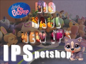 #8 BIG HAUL partie 1