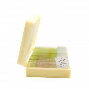 [Hot Item] 25PCS Set Frog Embryo Development Embryology Prepared Slides for Educational Biological Teaching