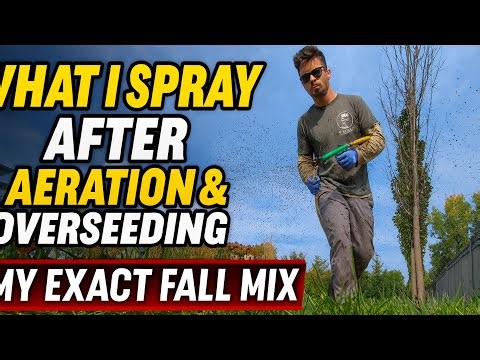What I Spray After Aeration & Overseeding — My Exact Fall Mix