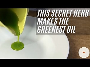 Green Herb Oil Recipe | Easy Technique without Blanching