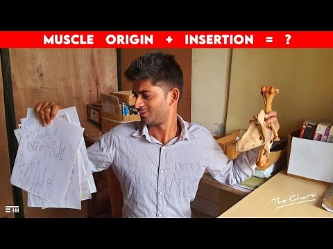 How to Remember Muscle Origin and Insertion | Dr. Pawan nagar