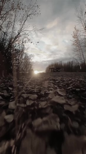 Peace and hormony #ptsd #art #mentalhealth #selfcare