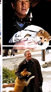 Hachi Dog's Tale #followerseveryonehighlights #everyonehighlights #everyonefollowers #viewers @highlight | Nymfa Aseron Ramos
