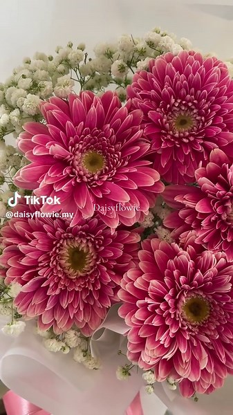 GERBERA DAISIES — perfect for when you wanna lift the mood especially on rainy days like this 🥰