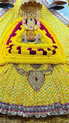 Om Shri Shyam devay namah 🙏🙏#khatushyamji #bhakti #vedio#ytshorts