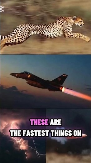 fastest things on earth #fastest #things #shorts