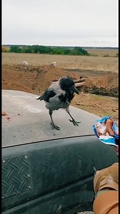 A new friend. | In Ukraine