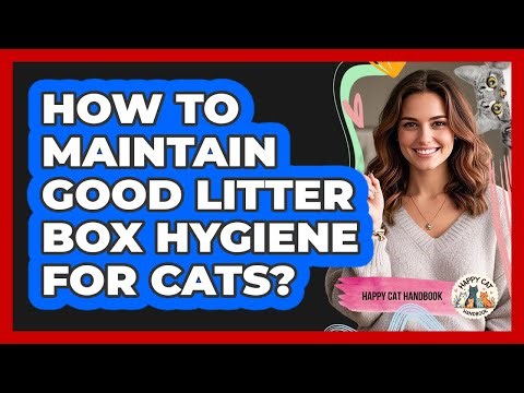 How To Maintain Good Litter Box Hygiene For Cats?