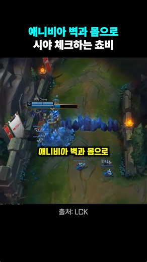 애니비아 벽과 몸으로 시야 체크하는 쵸비 '장인들이 자주 쓰는 스킬이라고'