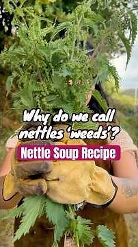 Nettle Soup Recipe 🌿 | Wild Weeds Are Good For Us 🤎 #wildfood #nettles