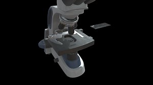 Compound Microscope - Download Free 3D model by kg007