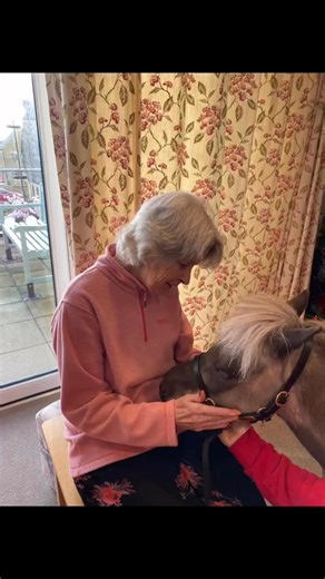 Some more lovely clips from our visit yesterday from Vino the miniature pony. 🐴 Thank you Laura from happy hooves therapy for bringing her in. It was a lovely Christmas visit that our residents absolutely loved. 🥰 #porthavencarehomes #uptonmill #residentialcare #nursingcare #tetbury #HappyHooves | Upton Mill Care Home, Tetbury