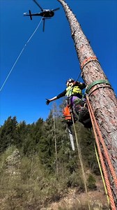 3.7K views · 16 reactions | Helicopter Tree Cutting_ Safe and Smart | Marching Band Videos | Facebook