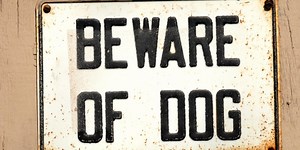 Second person injured in Columbus dog attack. Dog returning home this week.