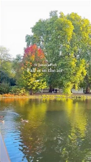 秋のロンドン🇬🇧🍂美しすぎる公園を散歩🚶‍♀️ #london #ロンドン在住 #海外在住ママ #ロンドン #londonlife #ロンドン旅行 #londonwalk