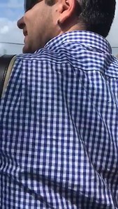 484K views · 4.3K reactions | *Instagram: https://www.instagram.com/mesmerizingsounds/ Not sure if the little bird is Mesmerized by the movevent of the bow or by the Appenzeller music, but it must have been Mesmerized for sure to hang on to it for so long hah! Enjoy your day, there might be a mesmerizing moment to hang on to as well at some point ;) Video by: Malou Regazzoni https://www.facebook.com/profile.php?id=100005194937456 | Mesmerizing Instruments and Sounds | Facebook