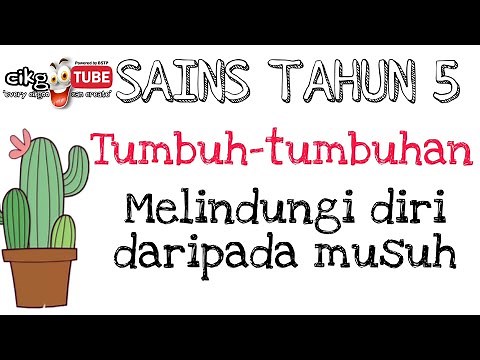 SAINS TAHUN 5 Tumbuh-tumbuhan (Melindungi diri daripada musuh)