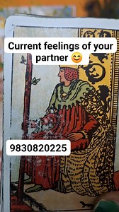 16K views · 825 reactions | Current feelings of your partner  Collective general timeless reading  #bengalitarotreading #tarotreading #viral #videoviral | Jayati Das | Facebook