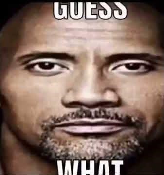 guess what chicken butt