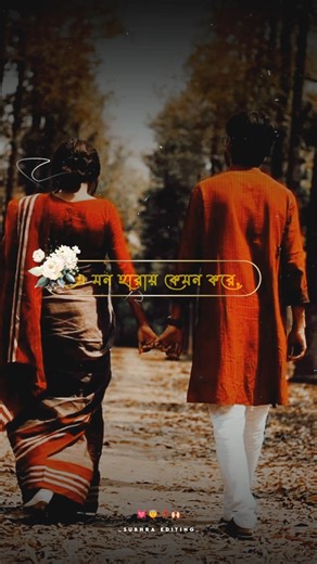 Sorry Dipannita| Whatsapp Status| New Bengali Song lyrics#ytshorts#butterfly#lyrics_video