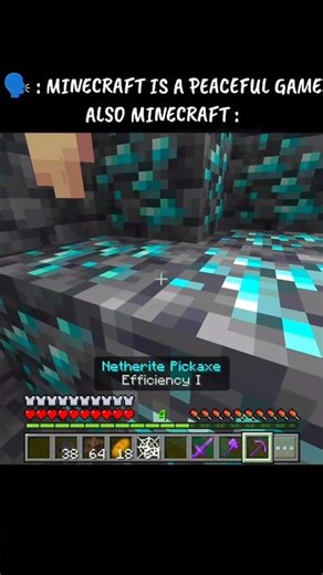 Minecraft is not Peaceful Game