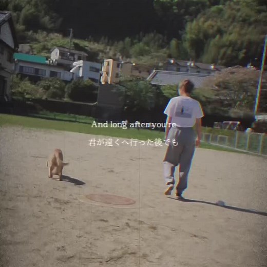 僕のワンダフル・ジャーニーの感動レビュー