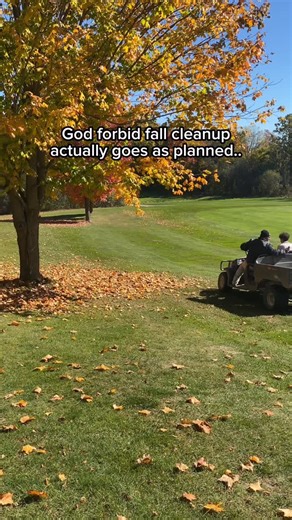 Can’t a guy get some peace around here? #KnollwoodGolfClub #GolfCourseLife #GolfMaintenance #FallCleanup #LeafCleanup #GolfCourseCrew #GolfTok #TurfTok | Knollwood Golf Club